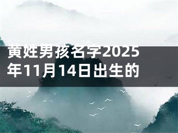 黄姓男孩名字2025年11月14日出生的