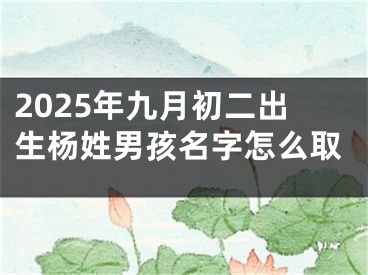 2025年九月初二出生杨姓男孩名字怎么取
