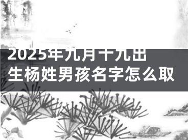2025年九月十九出生杨姓男孩名字怎么取