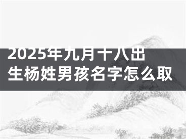 2025年九月十八出生杨姓男孩名字怎么取
