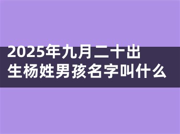 2025年九月二十出生杨姓男孩名字叫什么