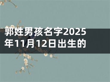 郭姓男孩名字2025年11月12日出生的