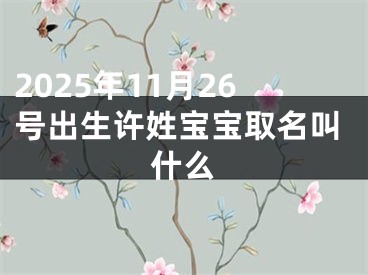 2025年11月26号出生许姓宝宝取名叫什么