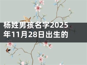 杨姓男孩名字2025年11月28日出生的