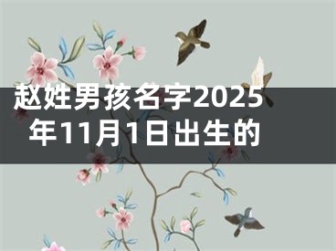 赵姓男孩名字2025年11月1日出生的
