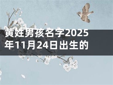 黄姓男孩名字2025年11月24日出生的