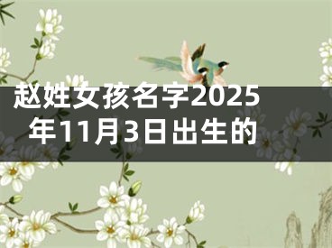 赵姓女孩名字2025年11月3日出生的