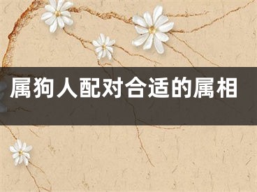 属狗人配对合适的属相