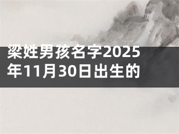 梁姓男孩名字2025年11月30日出生的