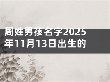 周姓男孩名字2025年11月13日出生的