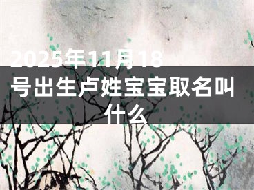 2025年11月18号出生卢姓宝宝取名叫什么