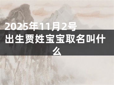 2025年11月2号出生贾姓宝宝取名叫什么