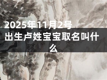 2025年11月2号出生卢姓宝宝取名叫什么