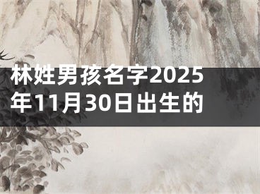 林姓男孩名字2025年11月30日出生的