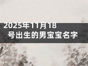 2025年11月18号出生的男宝宝名字