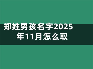 郑姓男孩名字2025年11月怎么取