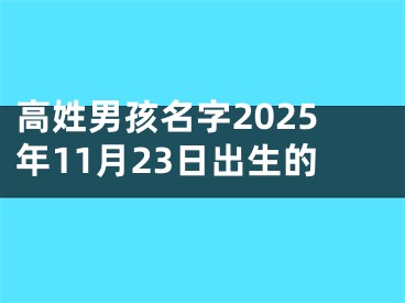 高姓男孩名字2025年11月23日出生的