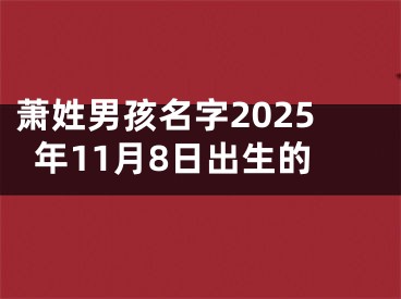 萧姓男孩名字2025年11月8日出生的