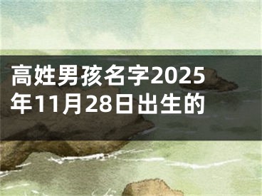 高姓男孩名字2025年11月28日出生的