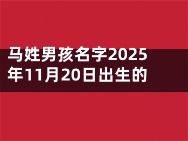 马姓男孩名字2025年11月20日出生的
