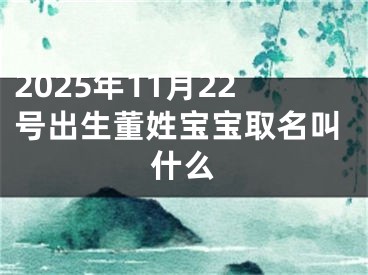 2025年11月22号出生董姓宝宝取名叫什么