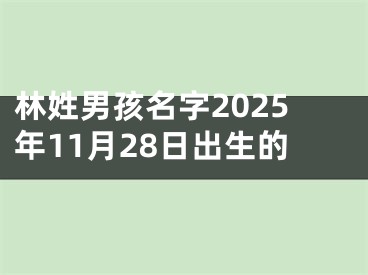 林姓男孩名字2025年11月28日出生的