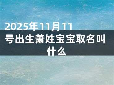 2025年11月11号出生萧姓宝宝取名叫什么
