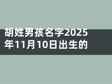 胡姓男孩名字2025年11月10日出生的