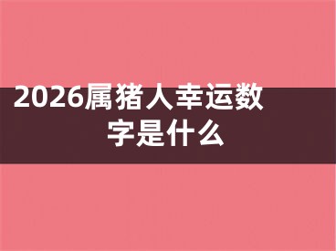 2026属猪人幸运数字是什么