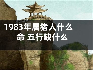 1983年属猪人什么命 五行缺什么