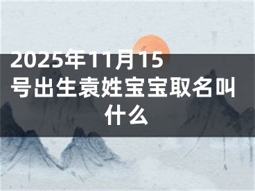 2025年11月15号出生袁姓宝宝取名叫什么
