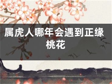 属虎人哪年会遇到正缘桃花