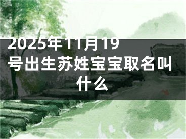2025年11月19号出生苏姓宝宝取名叫什么