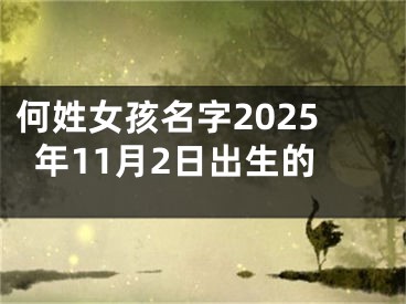 何姓女孩名字2025年11月2日出生的