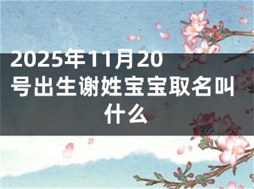 2025年11月20号出生谢姓宝宝取名叫什么