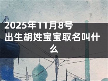 2025年11月8号出生胡姓宝宝取名叫什么