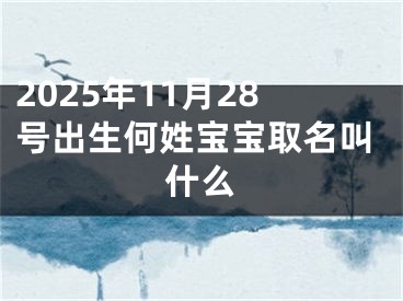 2025年11月28号出生何姓宝宝取名叫什么