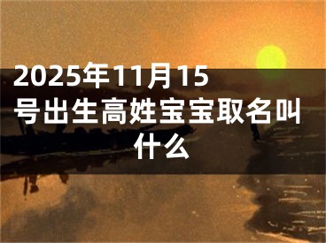 2025年11月15号出生高姓宝宝取名叫什么