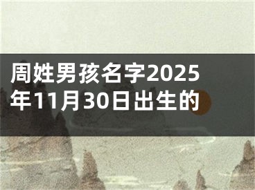 周姓男孩名字2025年11月30日出生的