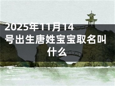 2025年11月14号出生唐姓宝宝取名叫什么