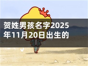 贺姓男孩名字2025年11月20日出生的