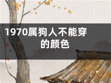 1970属狗人不能穿的颜色