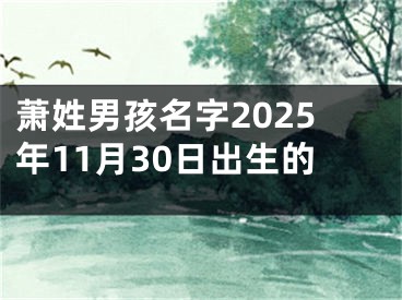 萧姓男孩名字2025年11月30日出生的