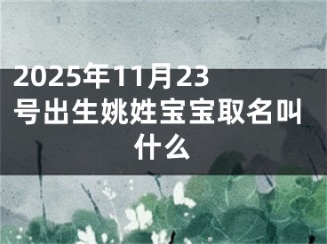 2025年11月23号出生姚姓宝宝取名叫什么