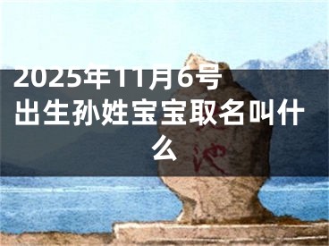 2025年11月6号出生孙姓宝宝取名叫什么