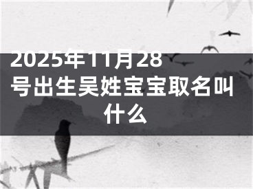 2025年11月28号出生吴姓宝宝取名叫什么