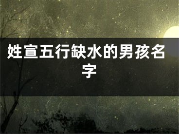 姓宣五行缺水的男孩名字