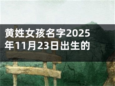 黄姓女孩名字2025年11月23日出生的