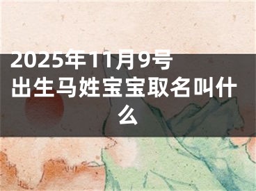 2025年11月9号出生马姓宝宝取名叫什么