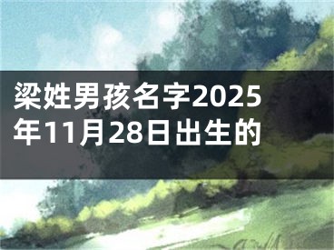 梁姓男孩名字2025年11月28日出生的